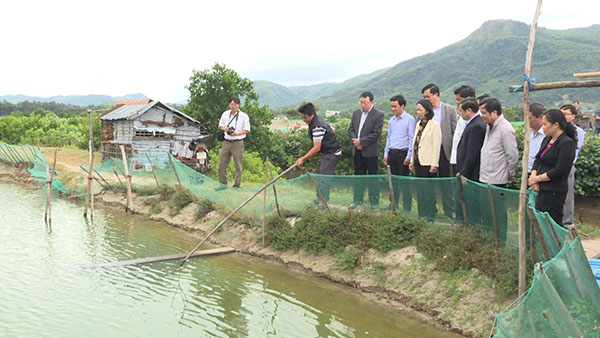 Đồng chí Trương Thị Mai và đoàn công tác kiểm tra, khảo sát mô hình “Nuôi tôm xen cua” ở xã Xuân Lộc, thị xã Sông Cầu