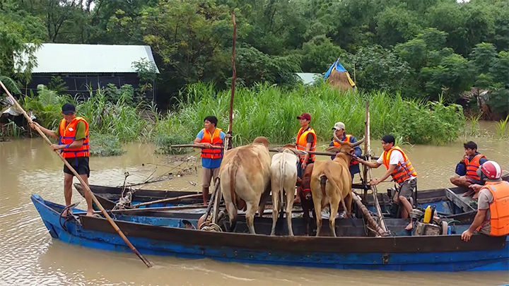 Thiệt hại do xả lũ thuỷ điện năm 2016