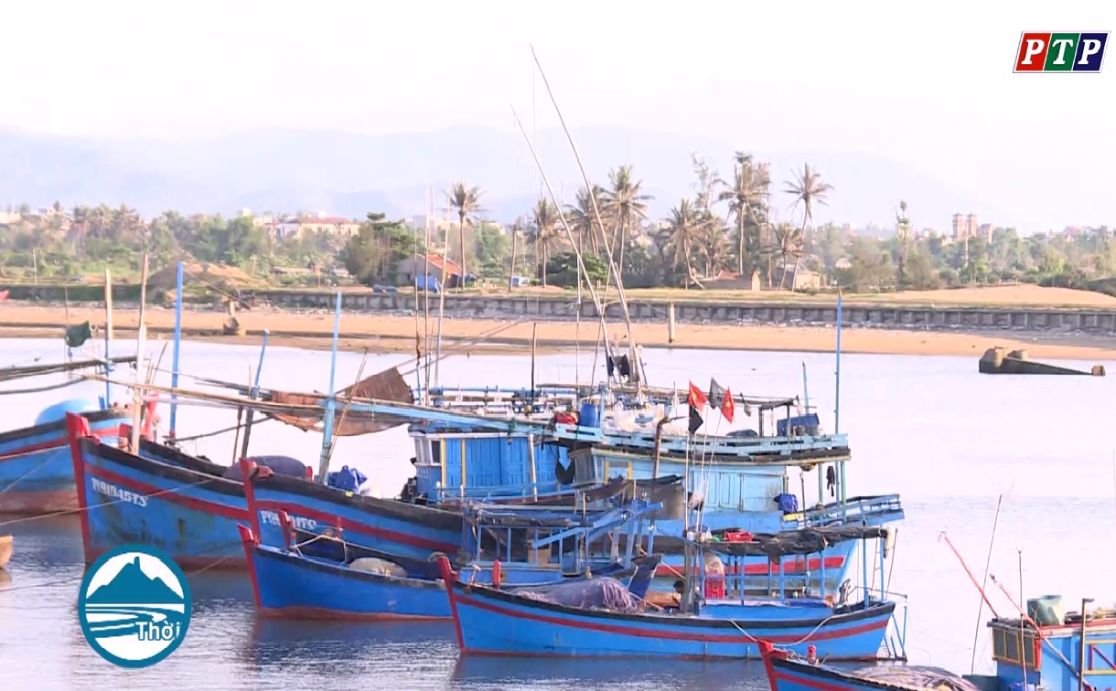 Nhiều tàu cá bị 