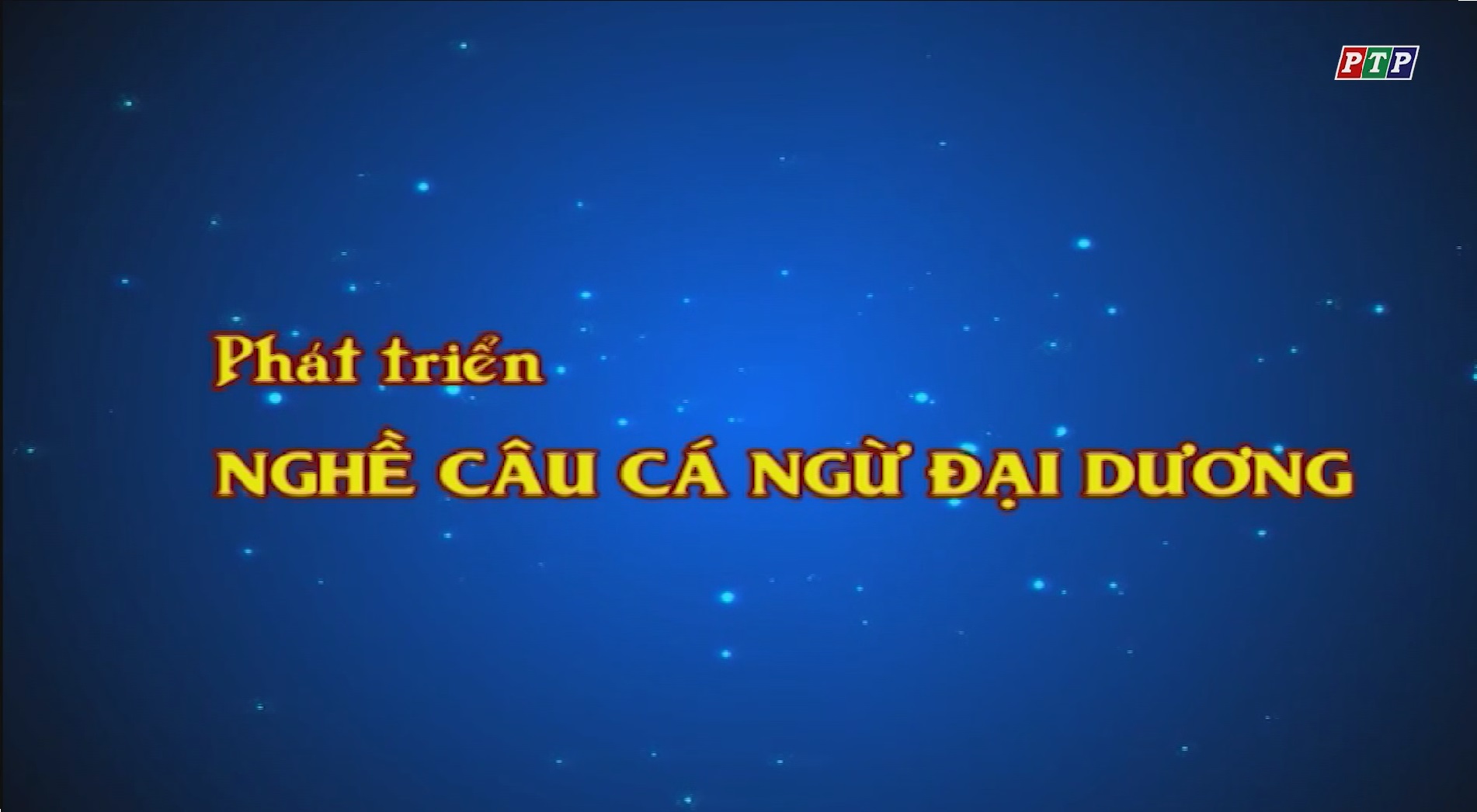 Phú Yên: Phát Triển Nghề Câu Cá Ngừ Đại Dương