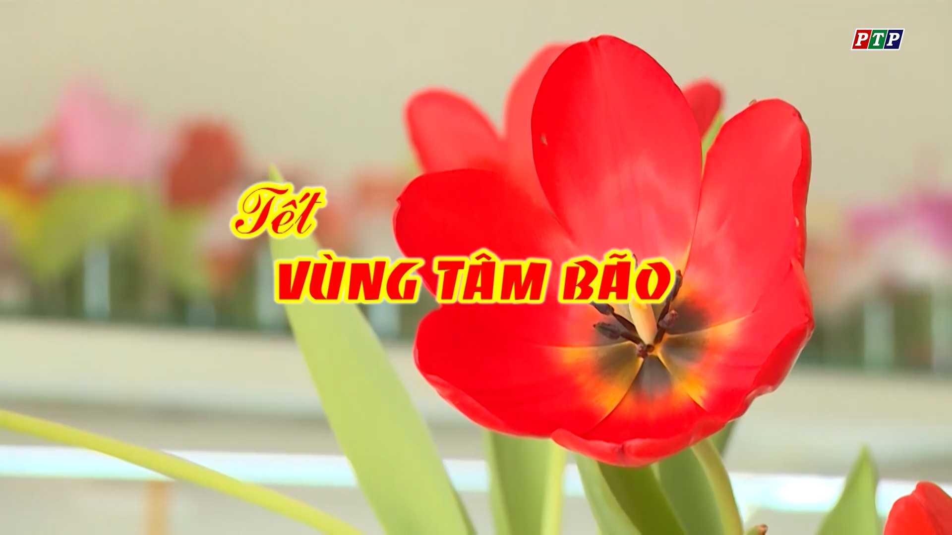 PS- Tết Ở Vùng Tâm Bão (2018)