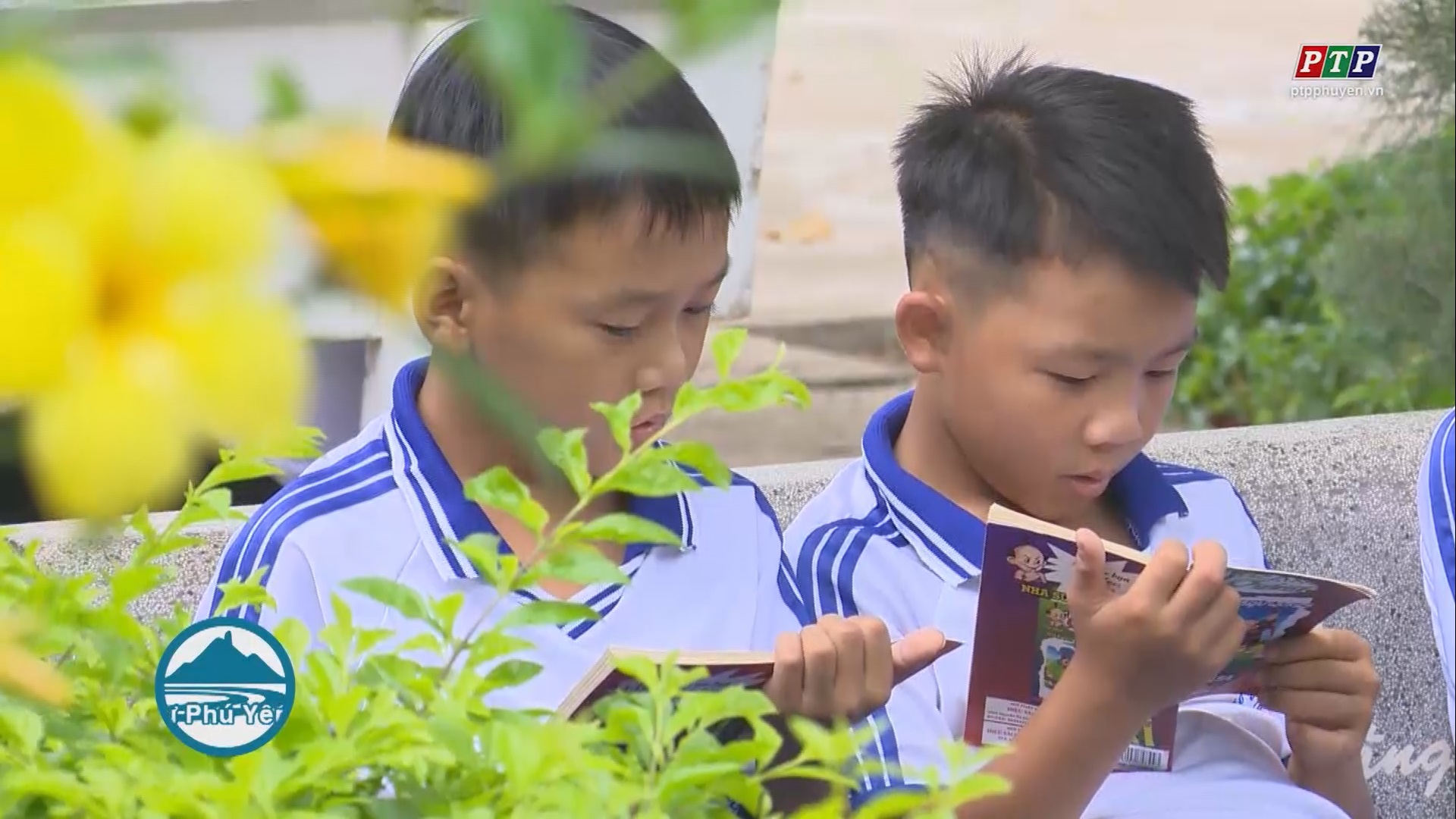 Thư viện xanh - nơi duy trì và phát huy văn hóa đọc