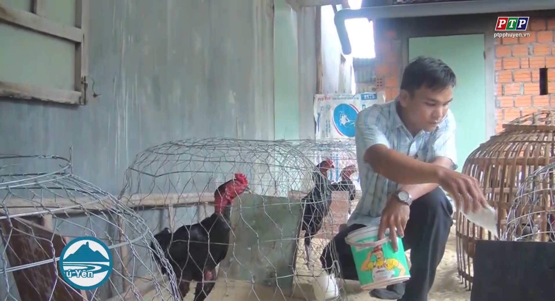 Cựu chiến binh Đỗ Thanh Dũng làm kinh tế giỏi