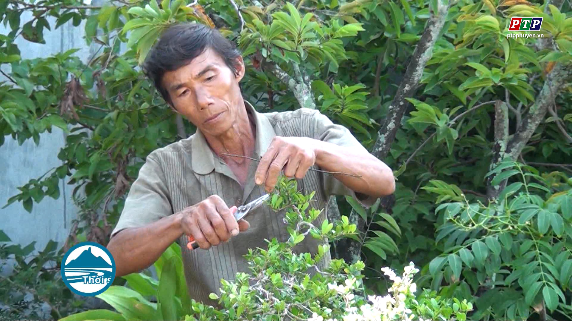 Phú Yên đẩy mạnh phong trào nông dân sản xuất kinh doanh giỏi