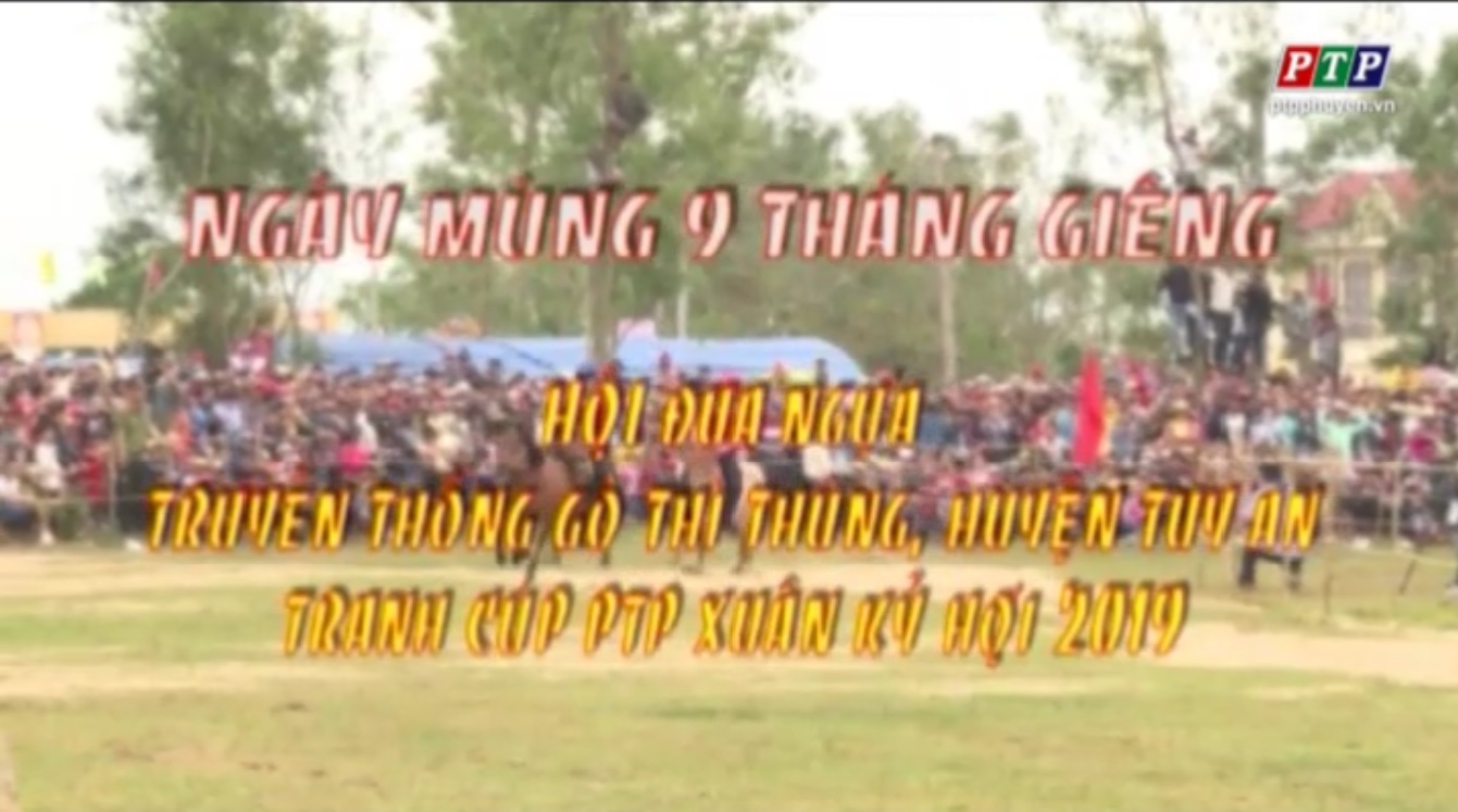 Trailer Đua Ngựa Gò Thì Thùng