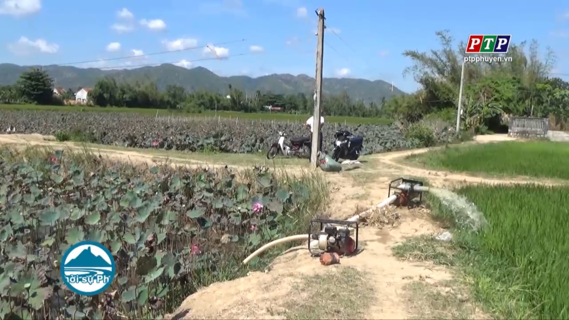 Sông Cầu kỷ niệm 10 năm ngày thành lập thị xã và đón nhận Huân chương lao động hạng Nhì