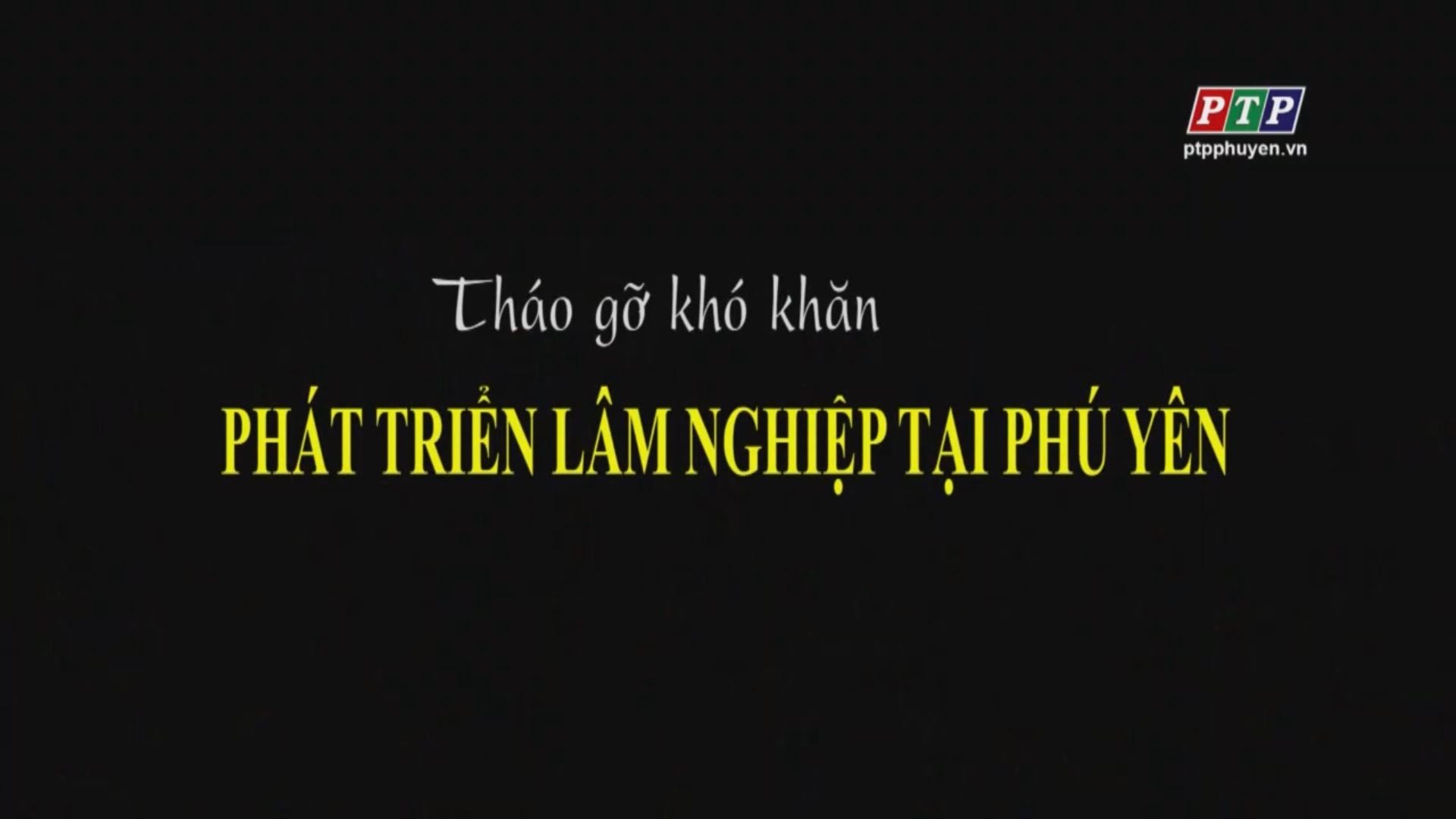 PS: Tháo Gỡ Khó Khăn Phát Triển Lâm Nghiệp Tại Phú Yên