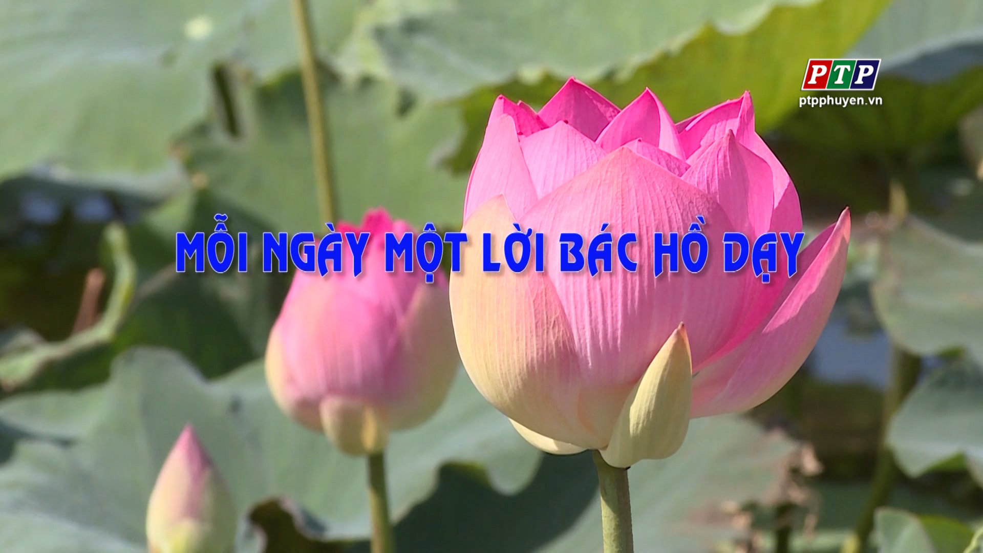 PS: Mỗi Ngày Một Lời Bác Hồ Dạy