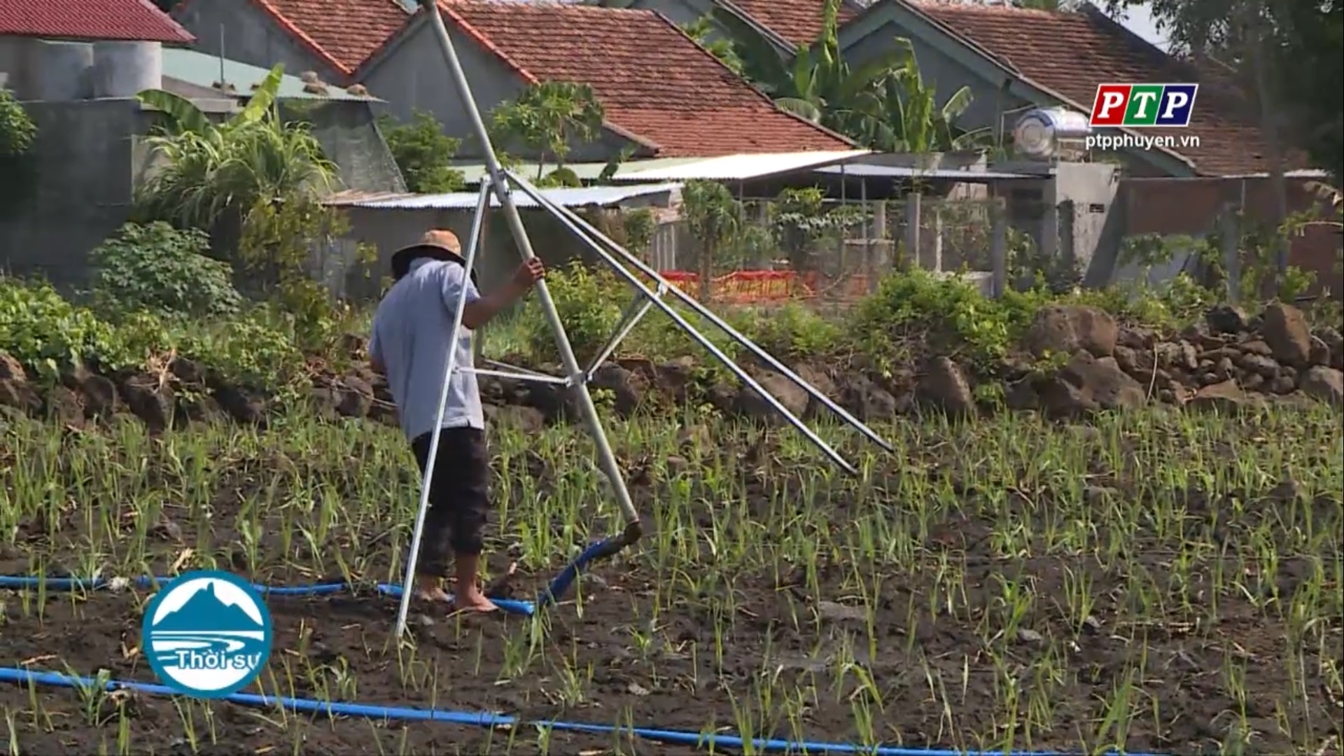 Công ty TNHH Công nghiệp KCP Việt Nam đồng hành cùng nông dân chống hạn