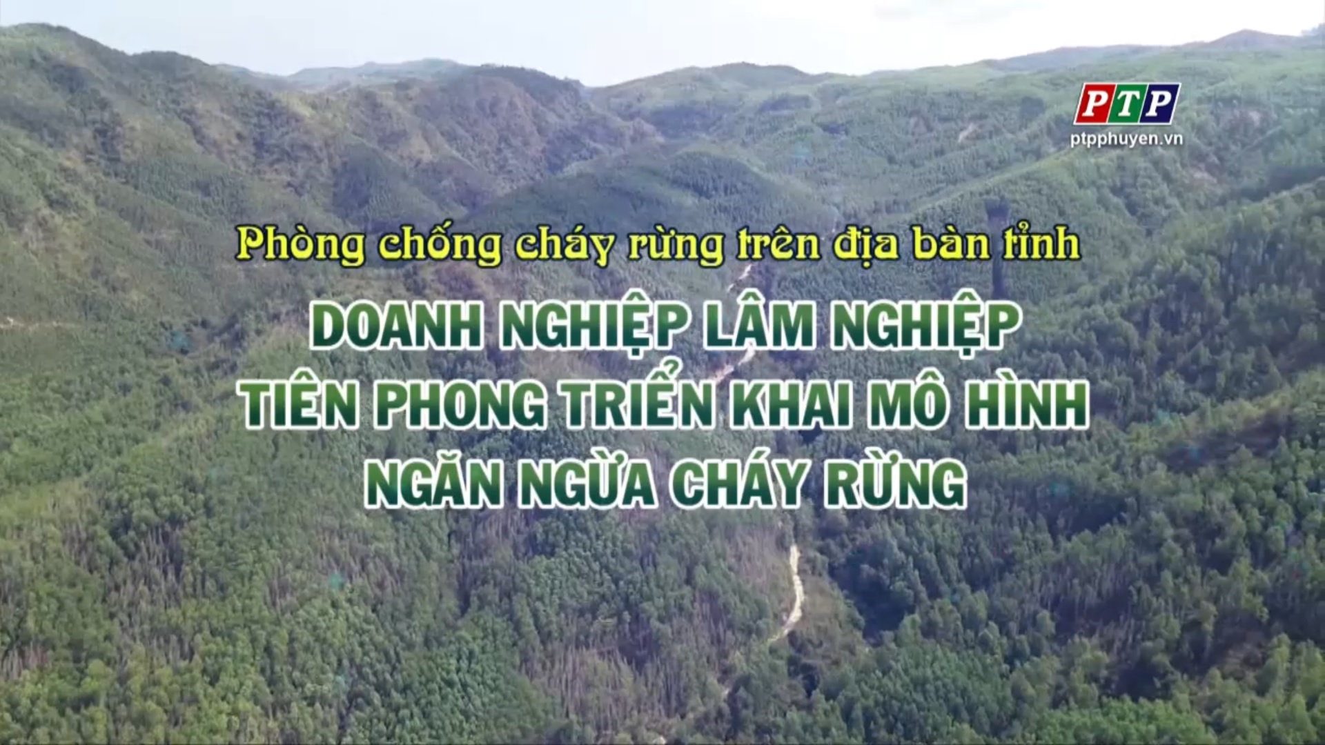 PS: Doanh Nghiệp Lâm Nghiệp Tiên Phong Triển Khai Mô Hình Ngăn Ngừa Cháy Rừng