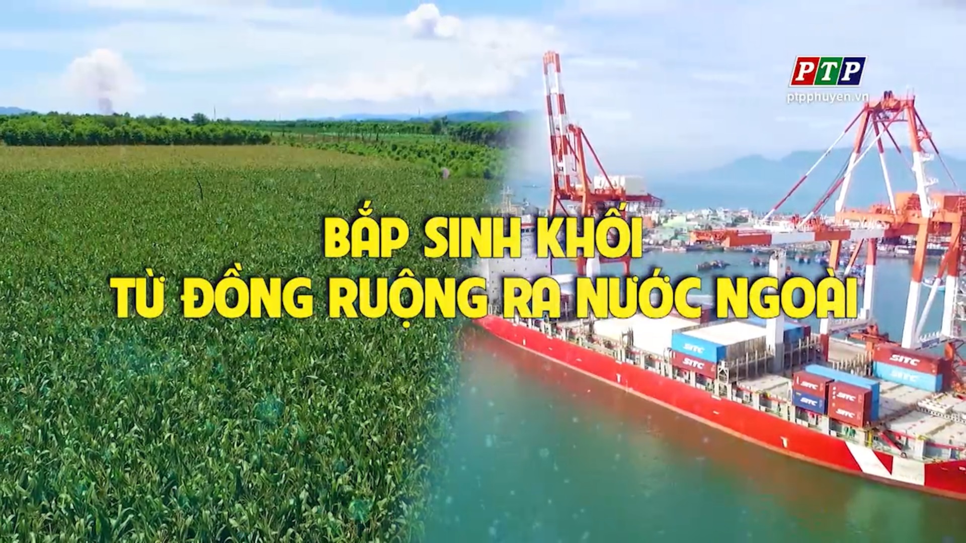 Ps: Bắp Sinh Khối - Từ Đồng Ruộng Ra Nước Ngoài