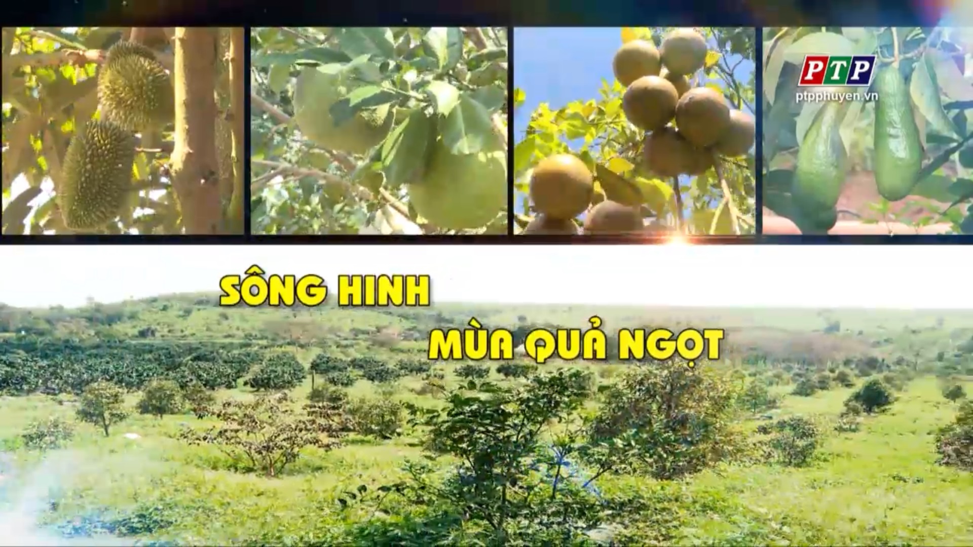 Ps - Sông Hinh Mùa Quả Ngọt