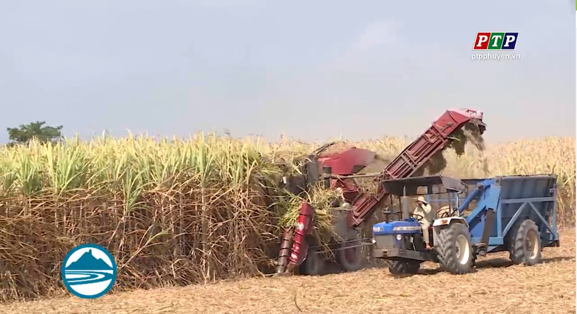 Doanh Nghiệp Hỗ Trợ Nông Dân Cơ Giới Hoá Khâu Thu Hoạch