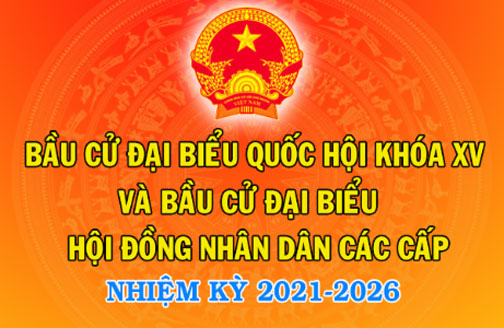 Tiểu sử những người ứng cử đại biểu HĐND tỉnh khóa VIII, nhiệm kỳ 2021-2026 (đơn vị bầu cử số 11)