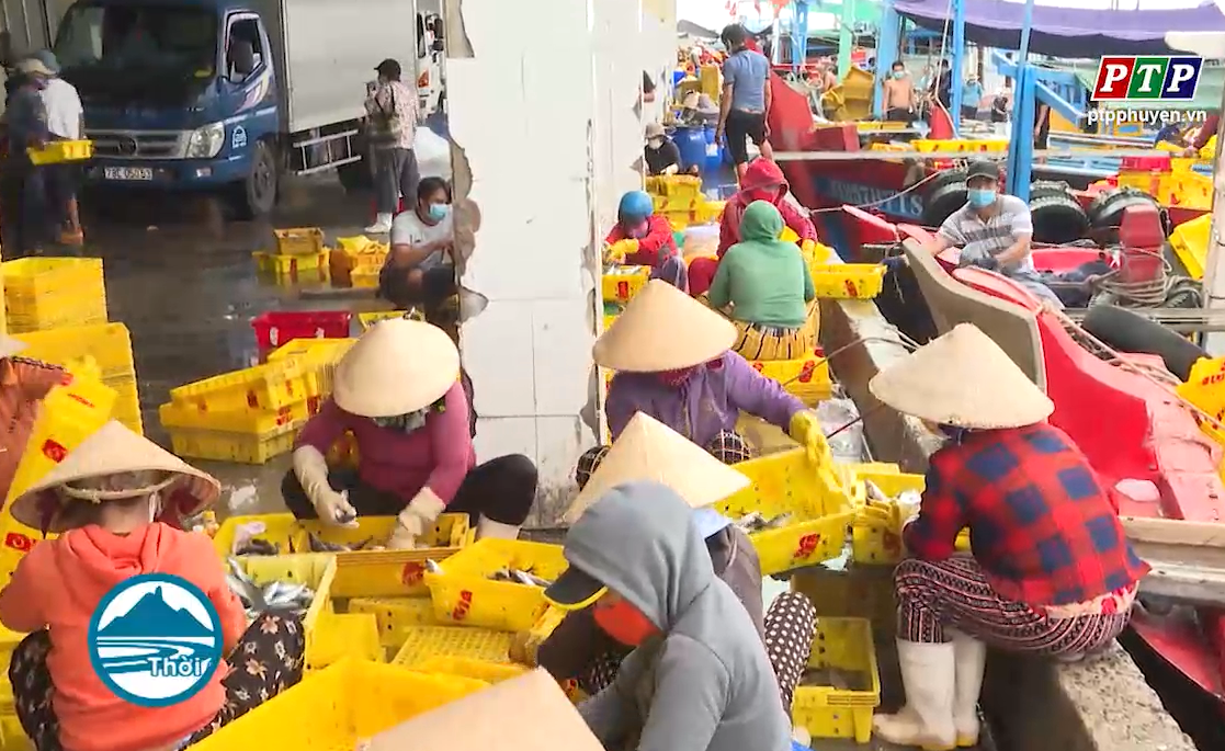 Nguy cơ lây lan dịch bệnh Covid-19 tại cảng cá