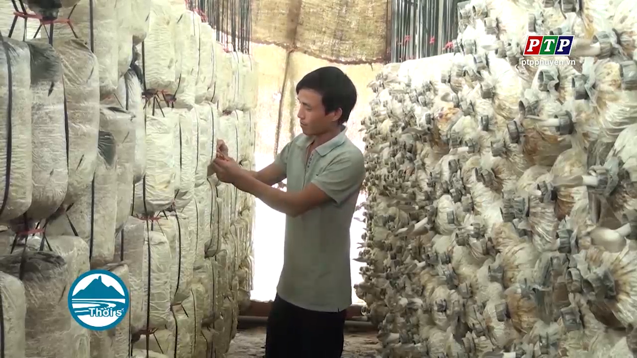 Thanh niên vùng cao nỗ lực vượt khó
