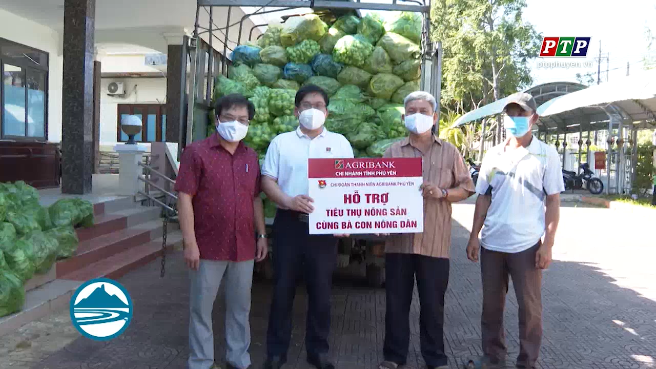 TP Tuy Hòa vận động thu mua toàn bộ nông sản của bà con nông dân đến kỳ thu hoạch
