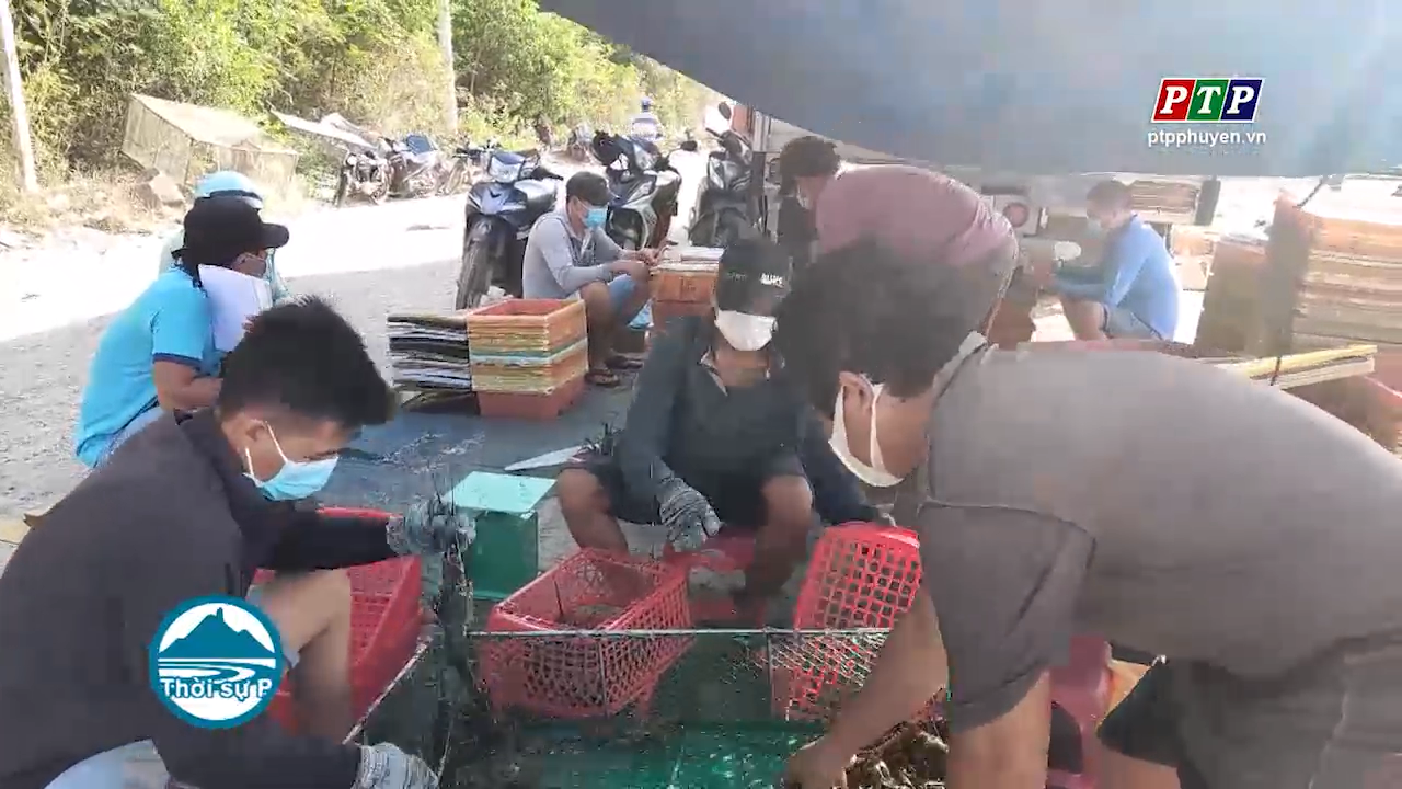 Tạo điều kiện thuận lợi cho các cơ sở thu mua tôm mùa Covid- 19