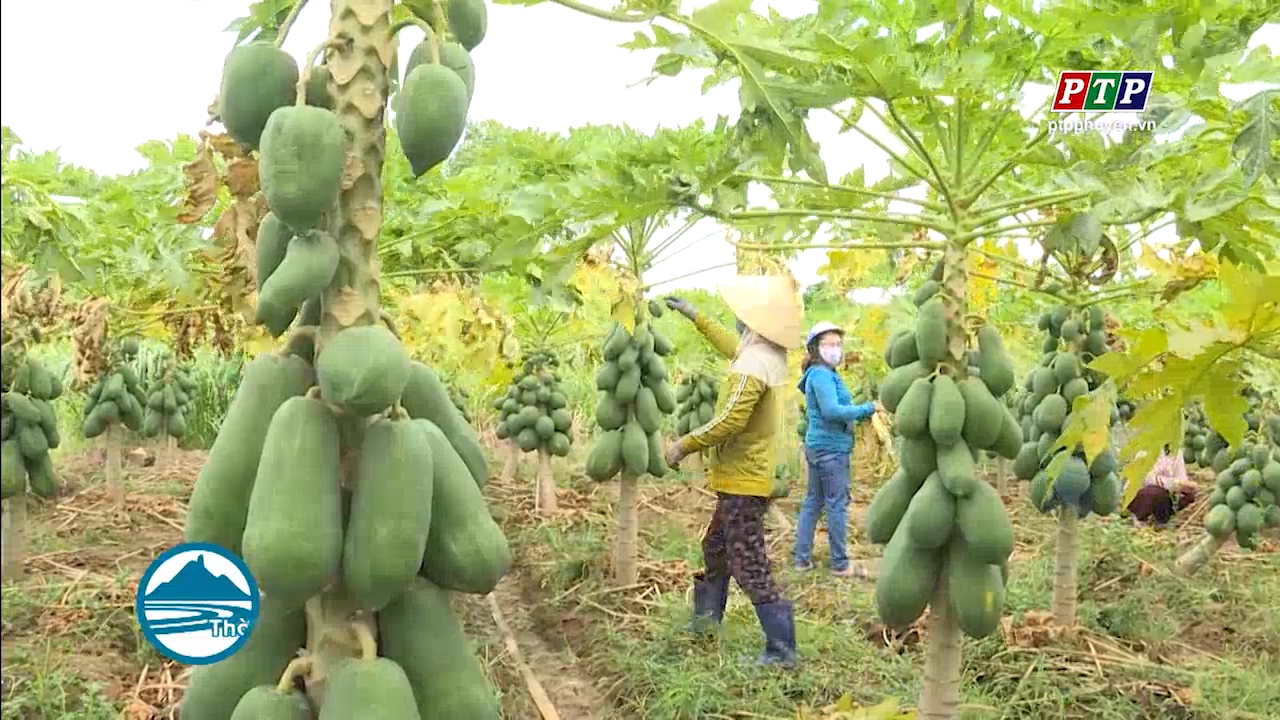 Hội LHPN TP Tuy Hòa tích cực học Bác trong hoạt động hội