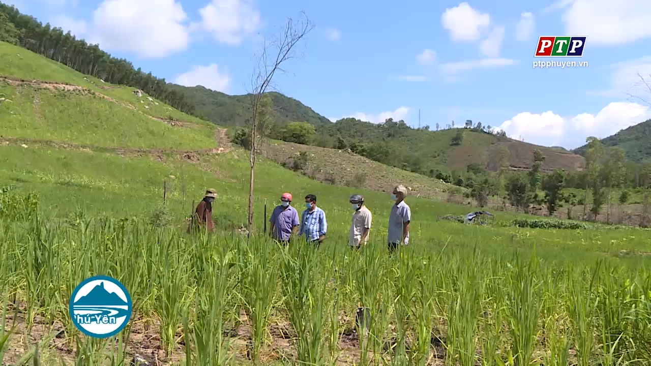 Xã Phú Mỡ: phát triển sản xuất và đảm bảo an toàn trong phòng, chống dịch
