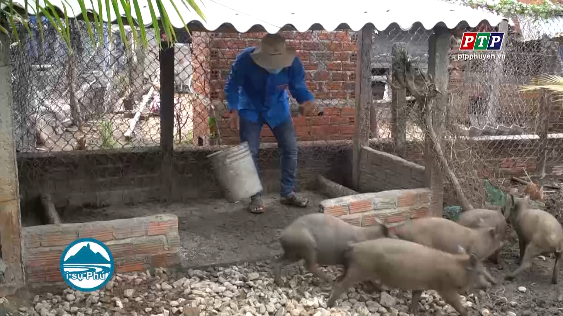 Thanh niên phát triển kinh tế từ mô hình tổng hợp