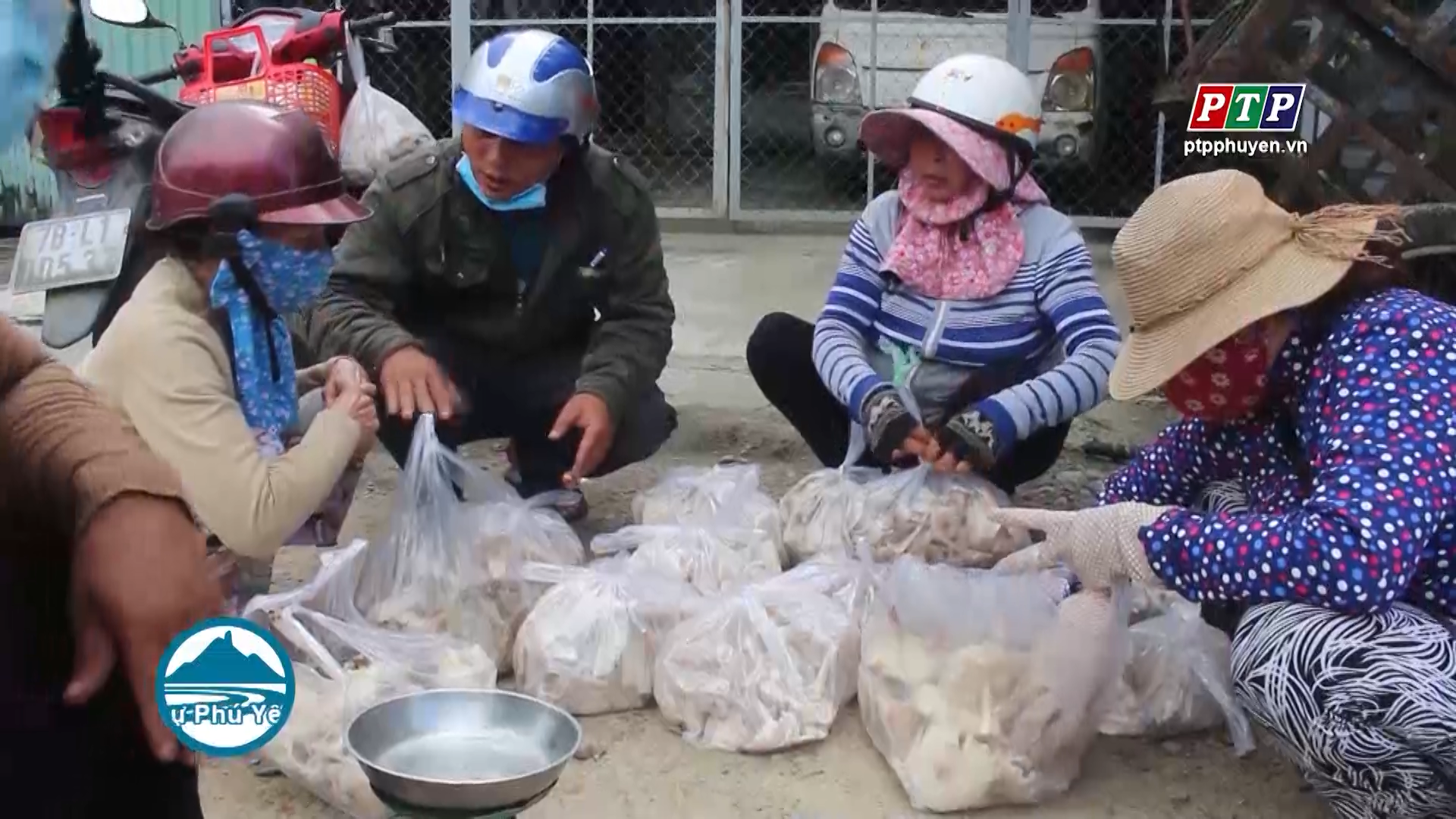 Sơn Hòa nhộn nhịp mùa nấm khoang