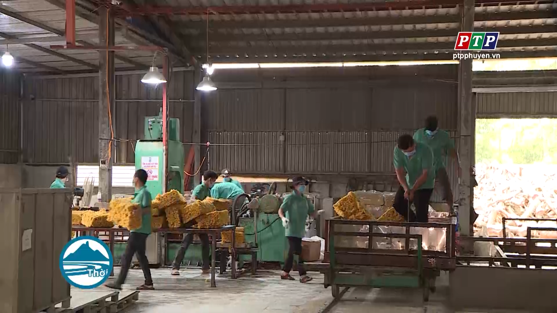 DOANH NGHIỆP PHỤC HỒI SẢN XUẤT SAU DỊCH BỆNH
