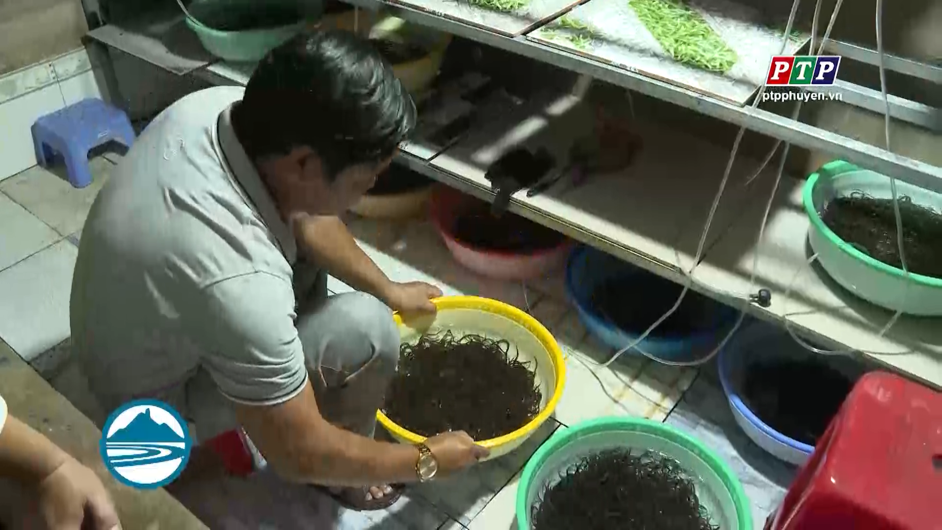 Hỗ trợ trực tuyến, minh bạch thủ tục hành chính tạo thuận lợi cho hoạt động nuôi trồng thủy sản