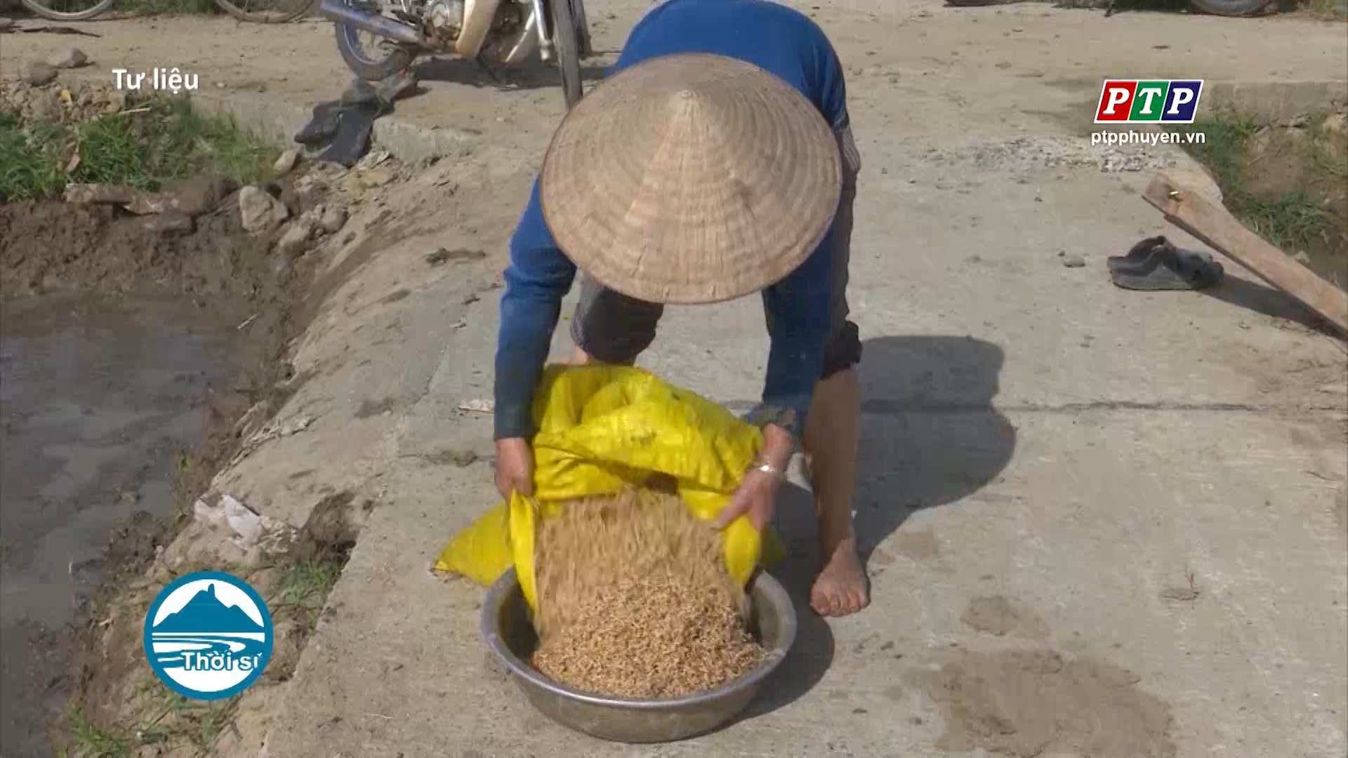 Kiến nghị hỗ trợ 477 tấn lúa giống để nông dân sản xuất vụ Đông Xuân