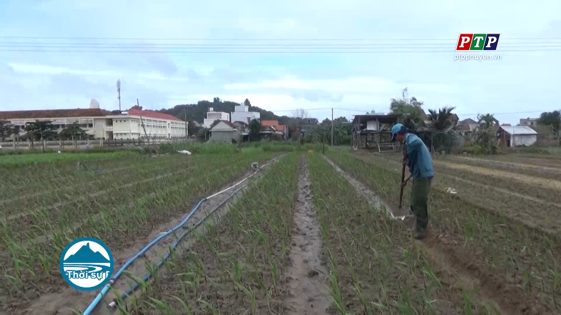 Cứu lay ơn sau lũ