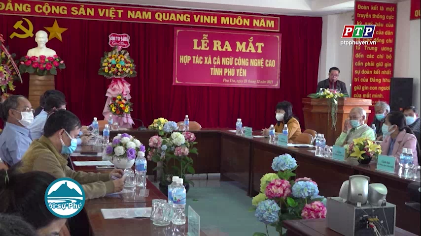 Thành lập HTX Cá ngừ công nghệ cao Phú Yên