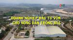 PS - Doanh Nghiệp Đầu Tư Vốn Cho Nông Dân Trồng Mía