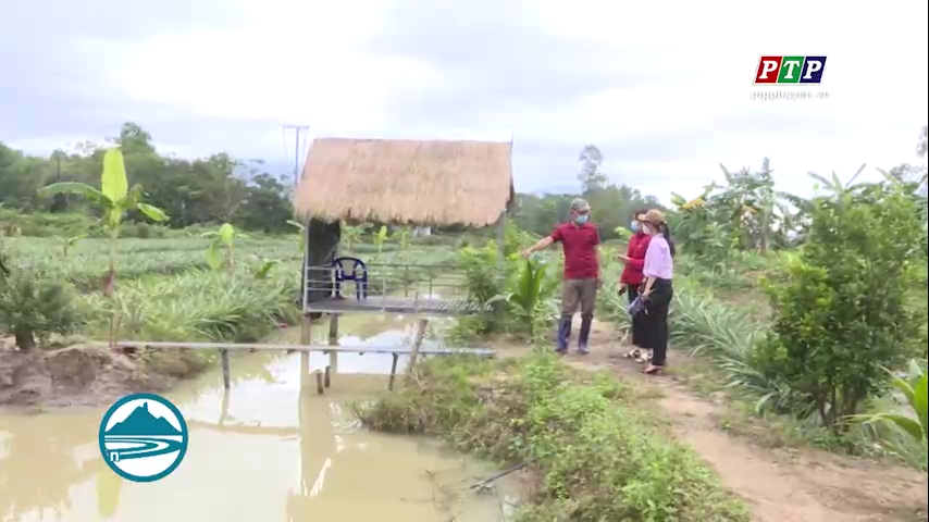 Lão nông khởi nghiệp với mô hình trang trại kết hợp dịch vụ sinh thái