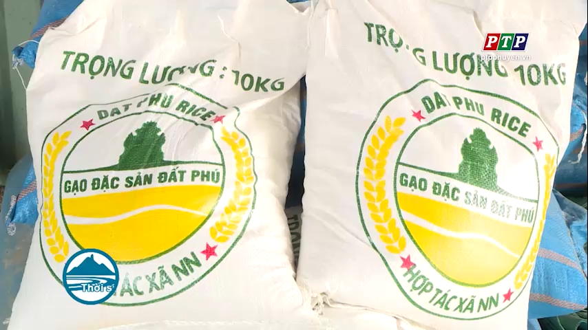 Đến năm 2025, thành lập mới 2 liên hiệp và 23 hợp tác xã nông nghiệp