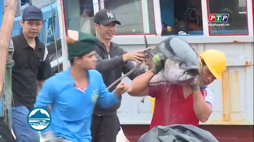 Khuyến khích ngư dân vươn khơi bám biển