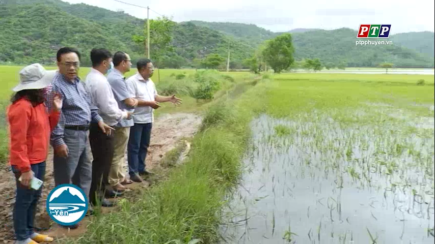 Cục trồng trọt kiểm tra, định hướng hỗ trợ giảm thiệt hại lúa đông xuân sau thiên tai