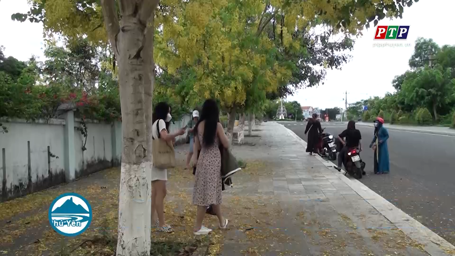 Đẹp nao lòng mùa hoa vàng Muồng Hoàng Yến