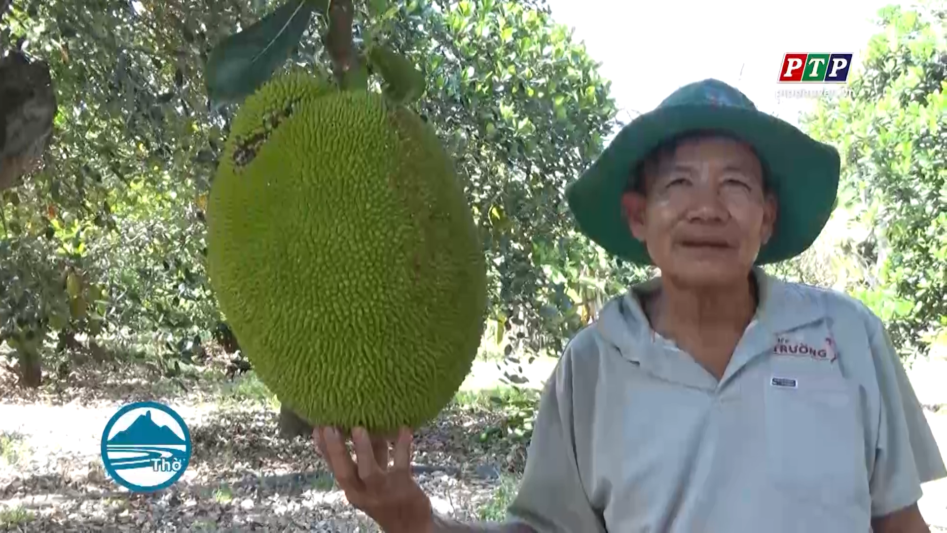 Xây dựng vườn mẫu nâng tầm nông thôn mới