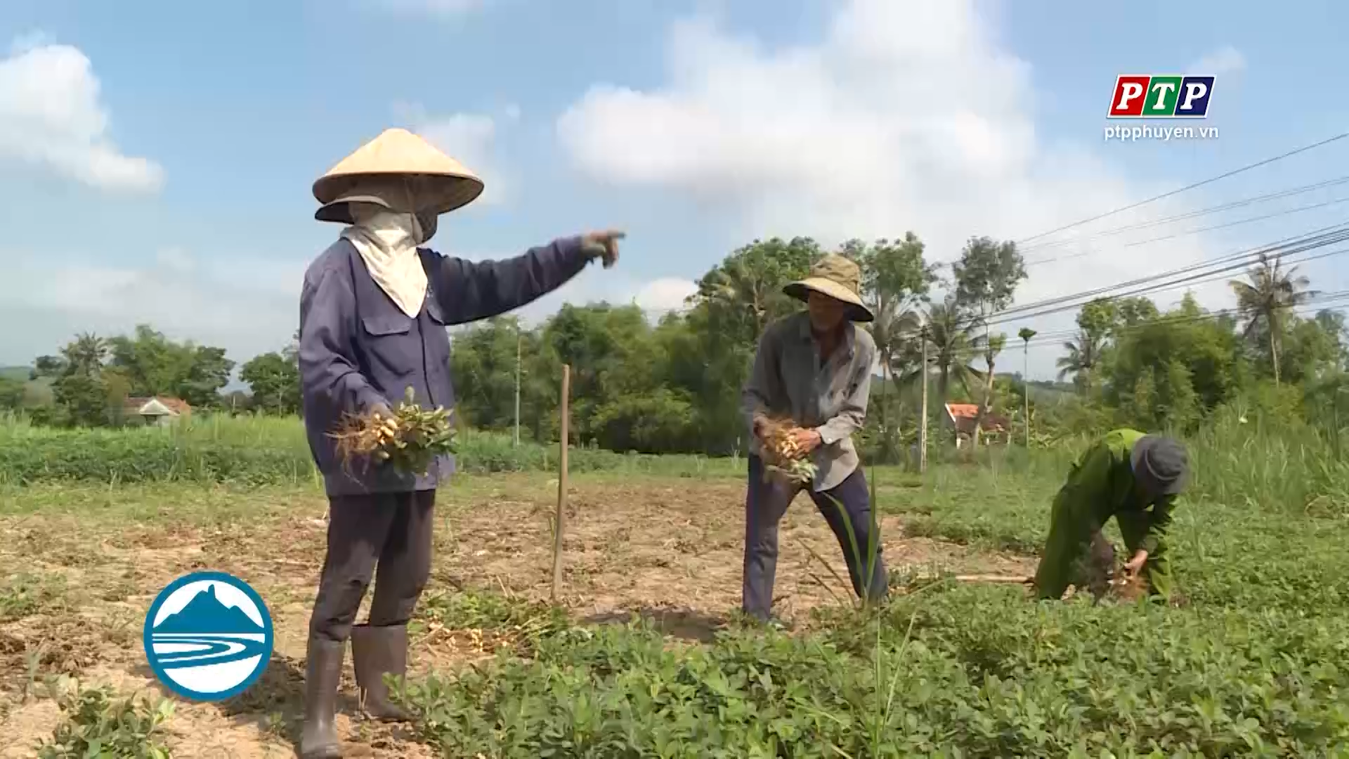 HỢP TÁC XÃ GIÚP ĐỒNG BÀO TĂNG THU NHẬP