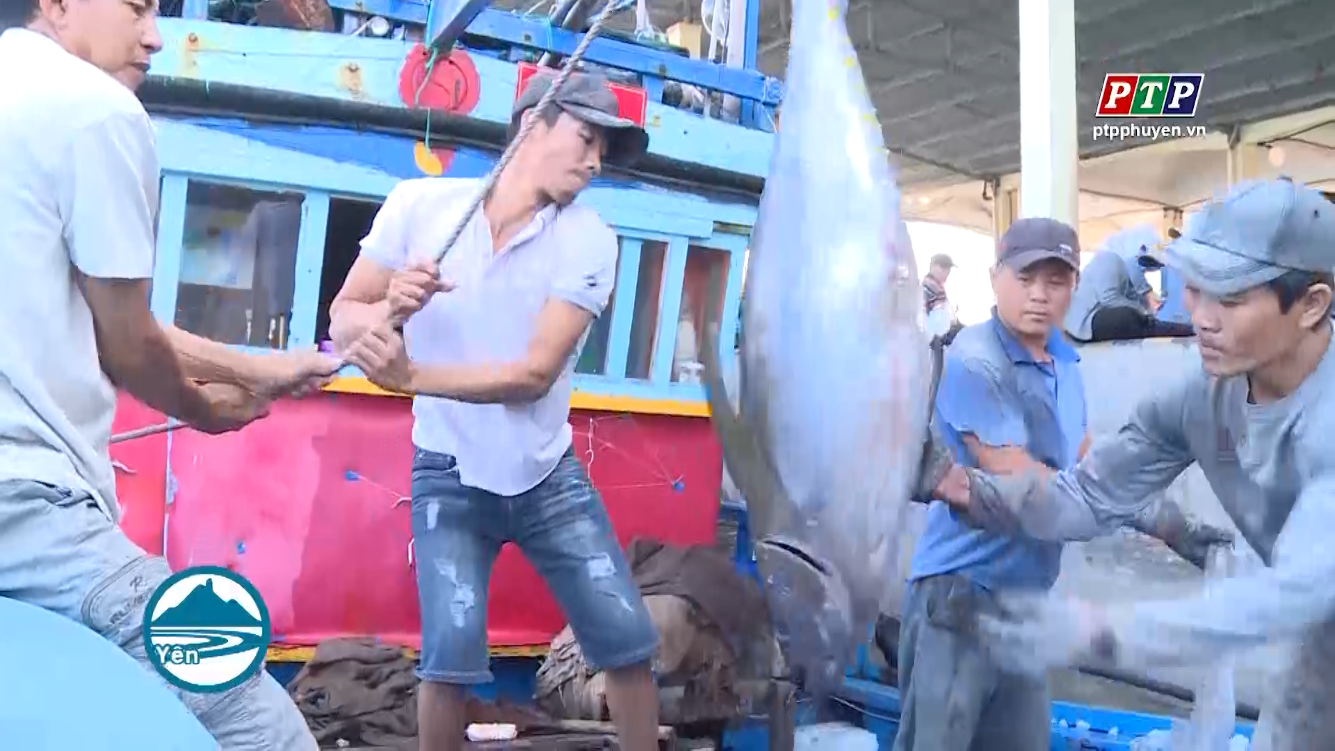 Ngư dân khó khăn giữa chính vụ khai thác