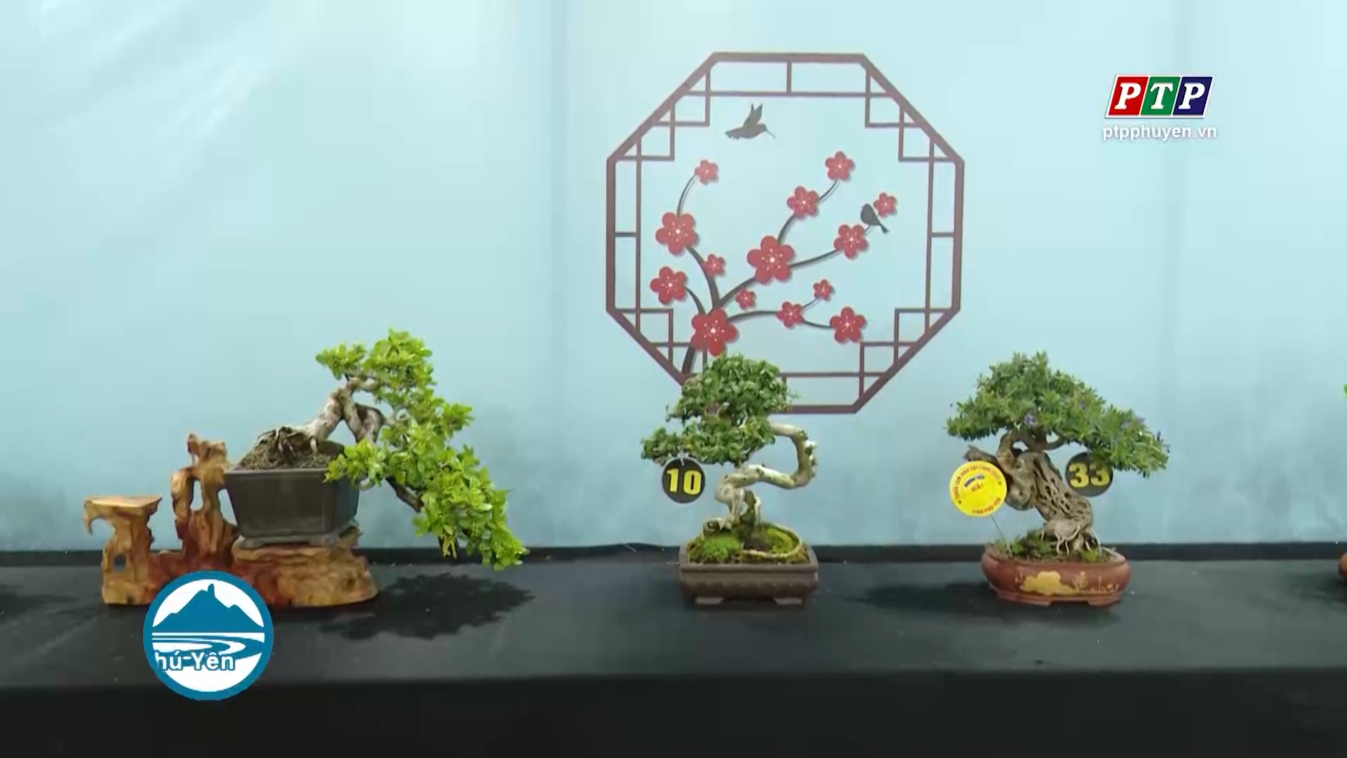 Bế mạc và trao giải Triển lãm, Hội thi, Giao lưu thương mại sinh vật cảnh Phú Yên mở rộng năm 2022