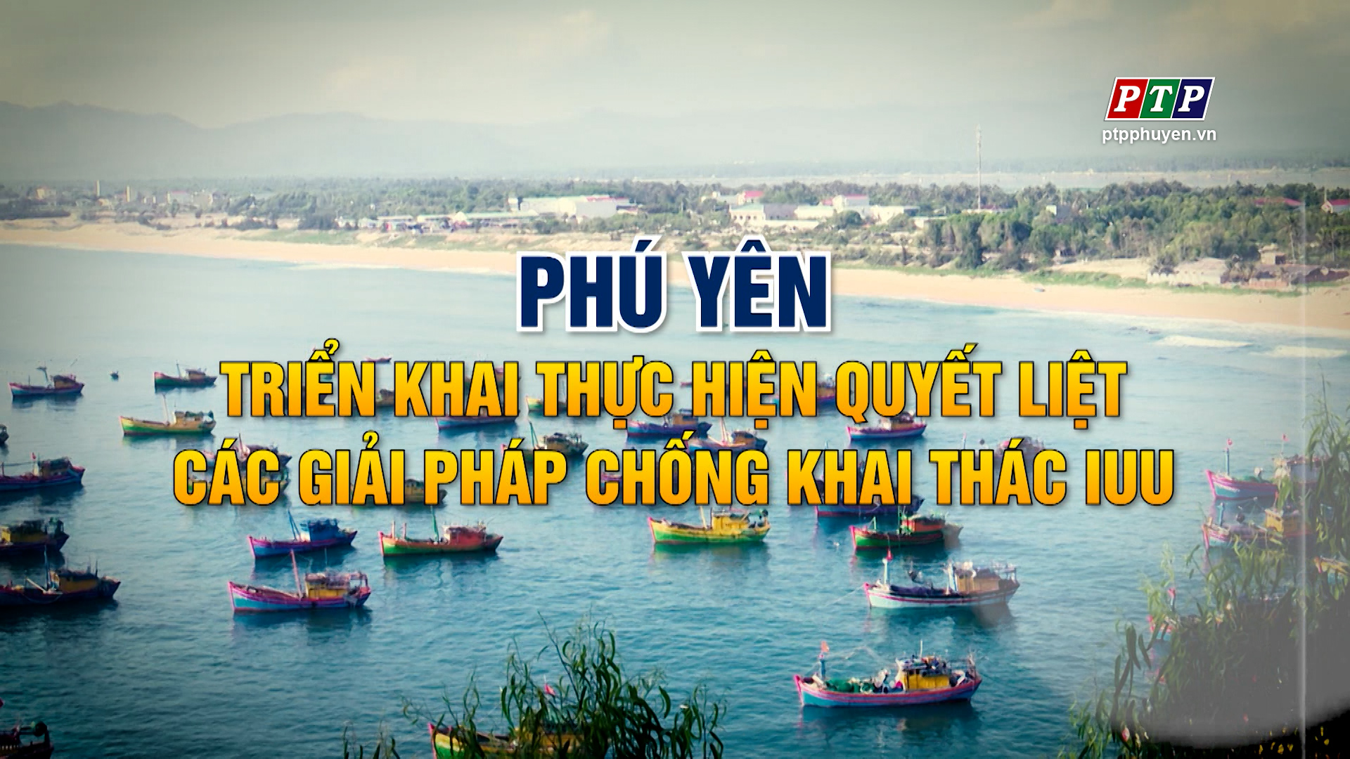 Ps: Phú Yên Triển Khai Thực Hiện Quyết Liệt Các Giải Pháp Chống Khai Thác IUU