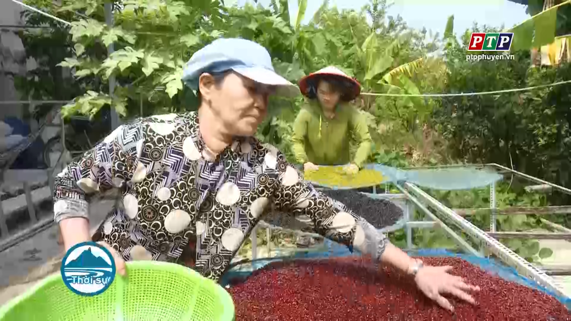 Nông dân làm giàu từ nông sản sạch
