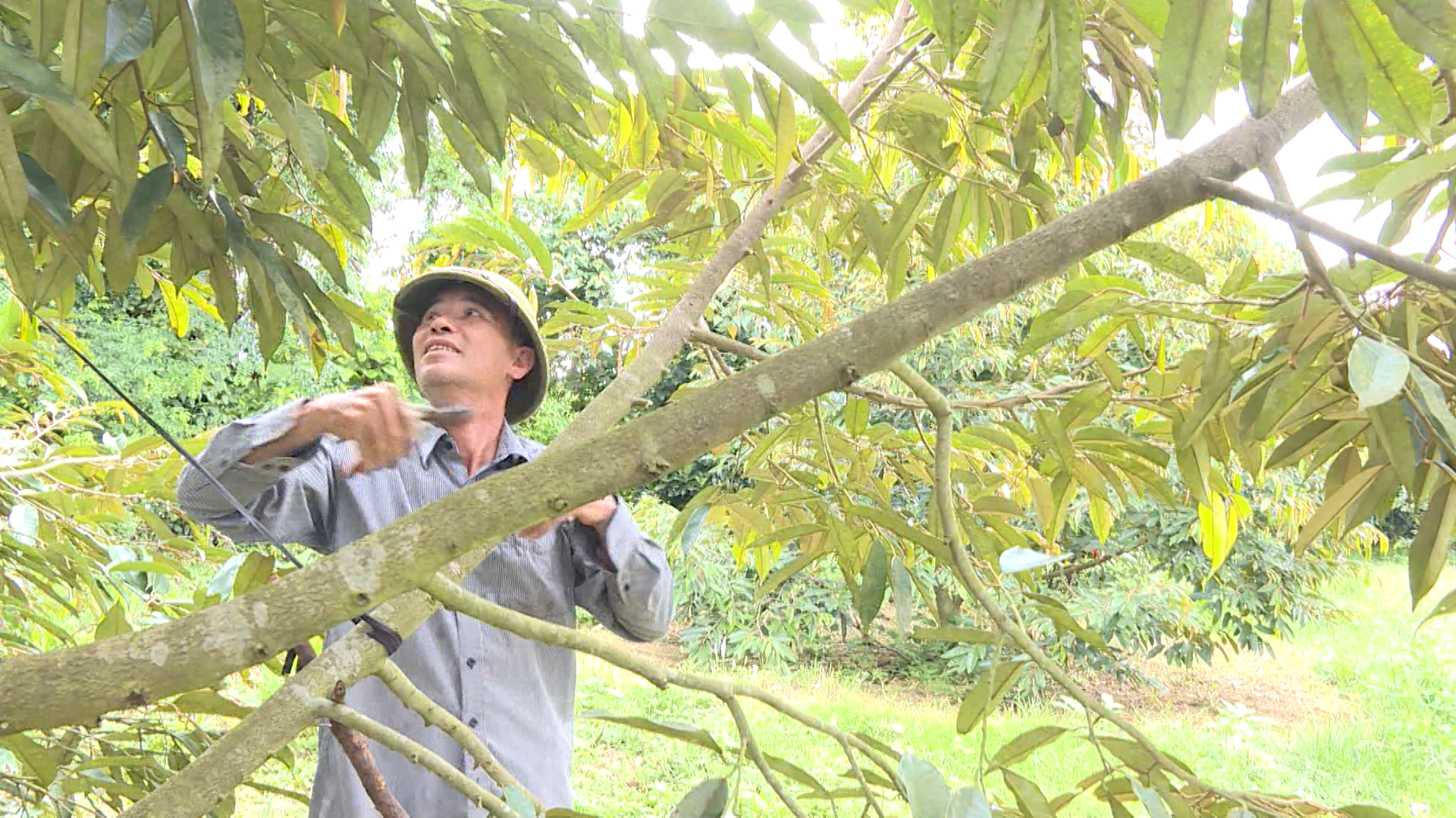 Những người lính tiên phong trên 