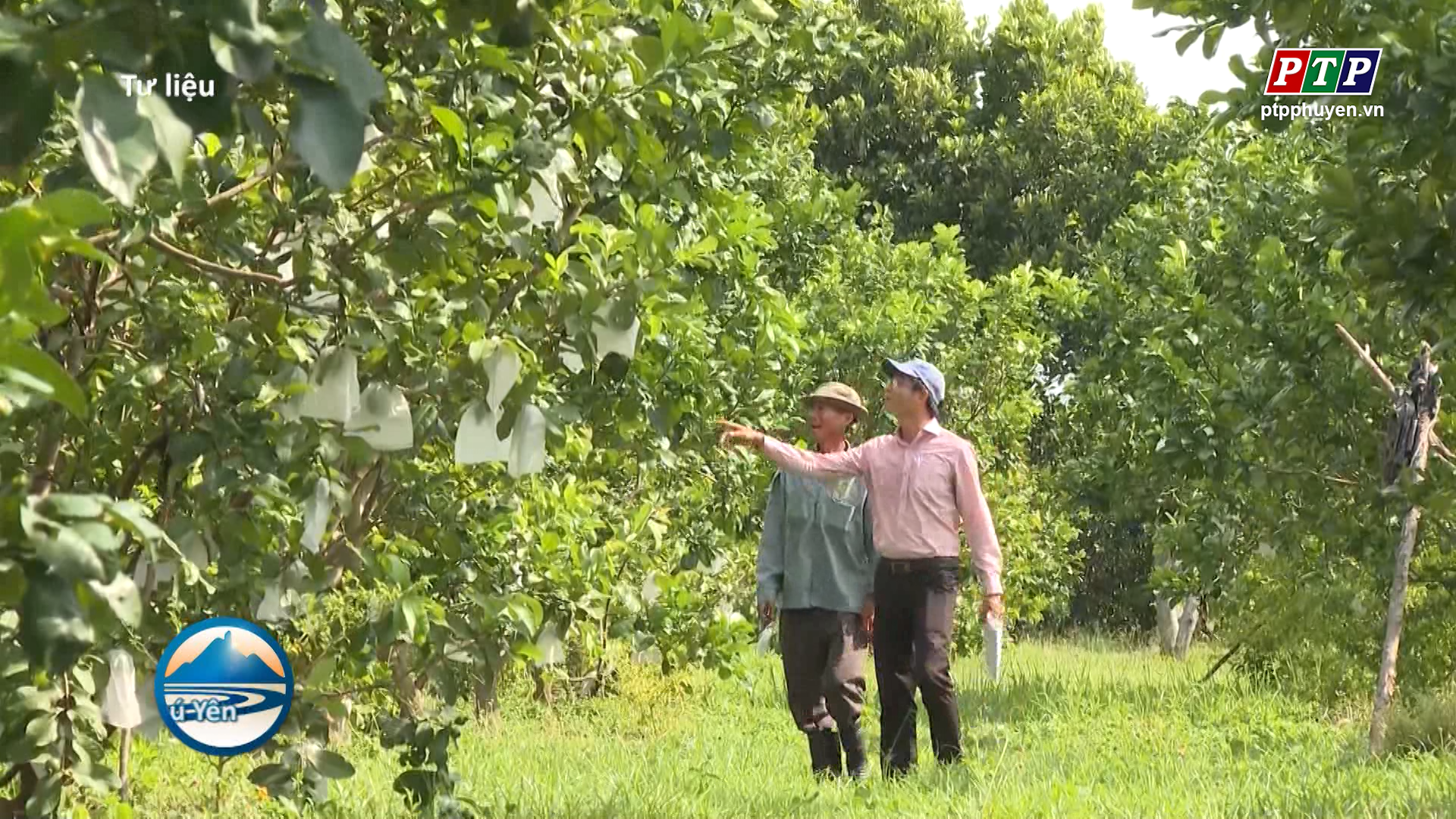 Thúc đẩy sản xuất nông nghiệp và thương mại nông sản của tỉnh