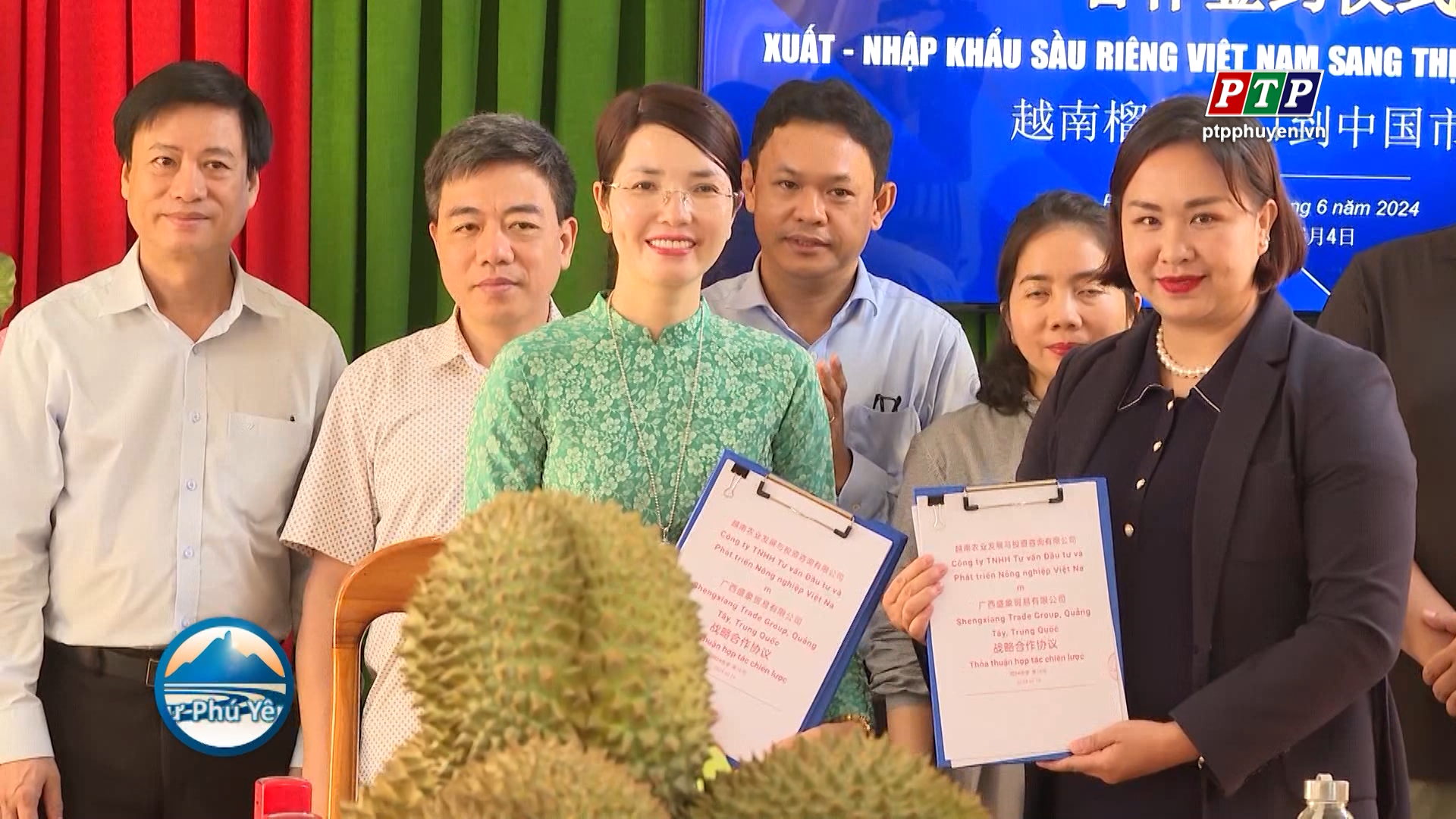 Hợp tác phát triển cây sầu riêng